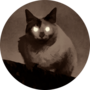 noranekoib-300s.png